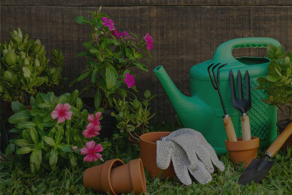 landscape-service-sectionimage-01