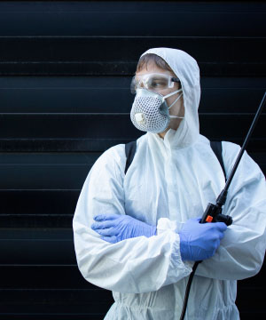 Webexcel - Pest Control 01 - About Image 01