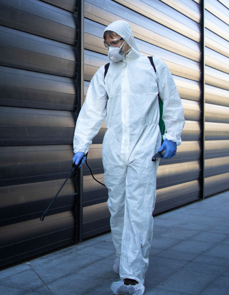 Webexcel - Pest Control 01 - Why Choose Us Image